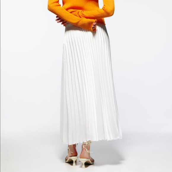 Zara Pleated Skirt - Picture 2 of 2